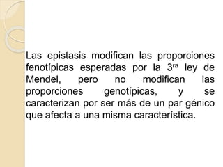 Las epistasis modifican las proporciones
fenotípicas esperadas por la 3ra ley de
Mendel, pero no modifican las
proporciones genotípicas, y se
caracterizan por ser más de un par génico
que afecta a una misma característica.
 