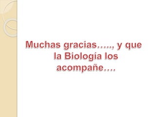 Genetica x nivel 2016 