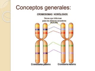 Conceptos generales:
 