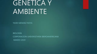 GENETICA Y
AMBIENTE
YEZID MENDEZ ROYA
BIOLOGÍA
CORPORACION UNIVERSITARIA IBEROAMERICANA
MARZO 2019
 