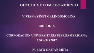 GENETICA Y COMPORTAMIENTO
VIVIANA YINET GALINDOMOLINA
BIOLOGIA
CORPORACION UNIVERSITARIA IBEROAMERICANA
AGOSTO 2017
PUERTO GAITAN META
 