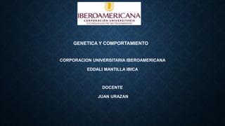 GENETICA Y COMPORTAMIENTO
CORPORACION UNIVERSITARIA IBEROAMERICANA
EDDALI MANTILLA IBICA
DOCENTE
JUAN URAZAN
 