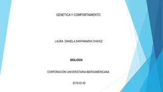 GENETICA Y COMPORTAMIENTO
LAURA DANIELA SANTAMARIA CHAVEZ
BIOLOGÍA
CORPORACIÓN UNIVERSITARIA IBEROAMERICANA
2019-03-30
 