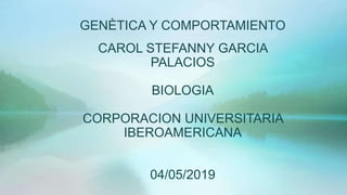 GENÈTICA Y COMPORTAMIENTO
CAROL STEFANNY GARCIA
PALACIOS
BIOLOGIA
CORPORACION UNIVERSITARIA
IBEROAMERICANA
04/05/2019
 