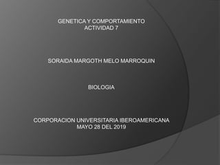 GENETICA Y COMPORTAMIENTO
ACTIVIDAD 7
SORAIDA MARGOTH MELO MARROQUIN
BIOLOGIA
CORPORACION UNIVERSITARIA IBEROAMERICANA
MAYO 28 DEL 2019
 