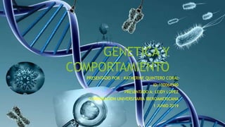GENETICA Y
COMPORTAMIENTO
PRESENTADO POR : KATHERINE QUINTERO CORAL
ID:100064390
PRESENTADO A: LEIDY LOPEZ
CORPORACION UNIVERSITARIA IBEROAMERICANA
1 JUNIO 2019
 