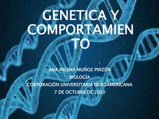 GENETICA Y
COMPORTAMIEN
TO
ANA MILENA MUÑOZ PINZÓN
BIOLOGÍA
CORPORACIÓN UNIVERSITARIA IBEROAMERICANA
7 DE OCTUBRE DE 2020
 
