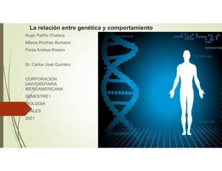 La relación entre genética y comportamiento
Hugo Patiño Chalaca
Milena Pinchao Burbano
Paola Andrea Rosero
Dr. Carlos José Quintero
CORPORACION
UNIVERSITARIA
IBEROAMERICANA
SEMESTRE I
BIOLOGIA
IPIALES
2021
 
