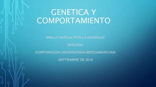 GENETICA Y
COMPORTAMIENTO
BRILLIT NATALIA PERILLA GONZALEZ
BIOLOGIA
CORPORACION UNIVERSITARIA IBEROAMERICANA
SEPTIEMBRE DE 2018
 