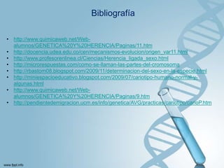 Bibliografía
• http://www.quimicaweb.net/Webalumnos/GENETICA%20Y%20HERENCIA/Paginas/11.htm
• http://docencia.udea.edu.co/cen/mecanismos-evolucion/origen_var11.html
• http://www.profesorenlinea.cl/Ciencias/Herencia_ligada_sexo.html
• http://microrespuestas.com/como-se-llaman-las-partes-del-cromosoma
• http://rbastom08.blogspot.com/2009/11/determinacion-del-sexo-en-la-especie.html
• http://miniespacioeducativo.blogspot.com/2009/07/cariotipo-humano-normal-yalgunas.html
• http://www.quimicaweb.net/Webalumnos/GENETICA%20Y%20HERENCIA/Paginas/9.htm
• http://pendientedemigracion.ucm.es/info/genetica/AVG/practicas/cariotipo/carioP.htm

 