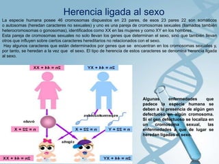 Herencia ligada al sexo
La especie humana posee 46 cromosomas dispuestos en 23 pares, de esos 23 pares 22 son somáticos
o autosomas (heredan caracteres no sexuales) y uno es una pareja de cromosomas sexuales (llamados también
heterocromosomas o gonosomas), identificados como XX en las mujeres y como XY en los hombres.
Esta pareja de cromosomas sexuales no solo llevan los genes que determinan el sexo, sino que también llevan
otros que influyen sobre ciertos caracteres hereditarios no relacionados con el sexo.
Hay algunos caracteres que están determinados por genes que se encuentran en los cromosomas sexuales y,
por tanto, se heredan a la vez que el sexo. El tipo de herencia de estos caracteres se denomina herencia ligada
al sexo.

Algunas
enfermedades
que
padece la especie humana se
deben a la presencia de algún gen
defectuoso en algún cromosoma.
Si el gen defectuoso se localiza en
un
cromosoma
sexual,
las
enfermedades a que de lugar se
heredan ligadas el sexo.

 