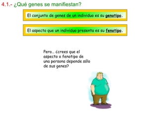 4.1.- ¿Qué genes se manifiestan?
El conjunto de genes de un individuo es su genotipo.
El aspecto que un individuo presenta es su fenotipo.
Pero… ¿crees que el
aspecto o fenotipo de
una persona depende sólo
de sus genes?
 