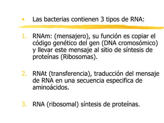 • Las bacterias contienen 3 tipos de RNA:
1. RNAm: (mensajero), su función es copiar el
código genético del gen (DNA cromosómico)
y llevar este mensaje al sitio de síntesis de
proteínas (Ribosomas).
2. RNAt (transferencia), traducción del mensaje
de RNA en una secuencia especifica de
aminoácidos.
3. RNA (ribosomal) síntesis de proteínas.
 