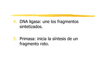 4. DNA ligasa: une los fragmentos
sintetizados.
5. Primasa: inicia la síntesis de un
fragmento roto.
 