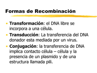 Formas de Recombinación
• Transformación: el DNA libre se
incorpora a una célula.
• Transducción: La transferencia del DNA
donador esta mediada por un virus.
• Conjugación: la transferencia de DNA
implica contacto célula – célula y la
presencia de un plasmido y de una
estructura llamada pili.
 