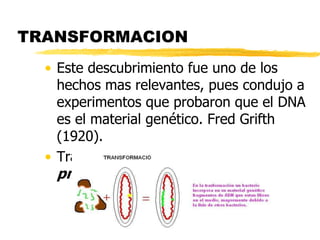 TRANSFORMACION
• Este descubrimiento fue uno de los
hechos mas relevantes, pues condujo a
experimentos que probaron que el DNA
es el material genético. Fred Grifth
(1920).
• Trabajos con Streptococcus
pneumoniae.
 