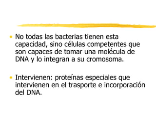 • No todas las bacterias tienen esta
capacidad, sino células competentes que
son capaces de tomar una molécula de
DNA y lo integran a su cromosoma.
• Intervienen: proteínas especiales que
intervienen en el trasporte e incorporación
del DNA.
 