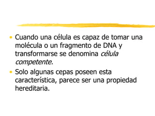 • Cuando una célula es capaz de tomar una
molécula o un fragmento de DNA y
transformarse se denomina célula
competente.
• Solo algunas cepas poseen esta
característica, parece ser una propiedad
hereditaria.
 