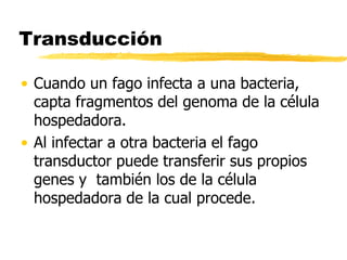Transducción
• Cuando un fago infecta a una bacteria,
capta fragmentos del genoma de la célula
hospedadora.
• Al infectar a otra bacteria el fago
transductor puede transferir sus propios
genes y también los de la célula
hospedadora de la cual procede.
 