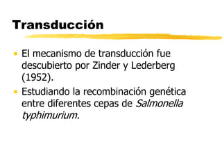 Transducción
• El mecanismo de transducción fue
descubierto por Zinder y Lederberg
(1952).
• Estudiando la recombinación genética
entre diferentes cepas de Salmonella
typhimurium.
 