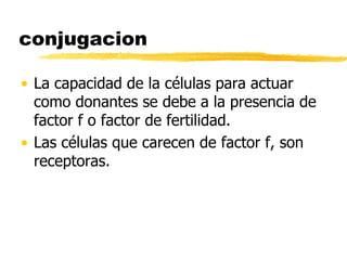 conjugacion
• La capacidad de la células para actuar
como donantes se debe a la presencia de
factor f o factor de fertilidad.
• Las células que carecen de factor f, son
receptoras.
 