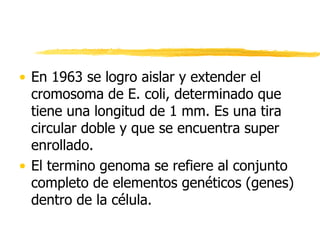 • En 1963 se logro aislar y extender el
cromosoma de E. coli, determinado que
tiene una longitud de 1 mm. Es una tira
circular doble y que se encuentra super
enrollado.
• El termino genoma se refiere al conjunto
completo de elementos genéticos (genes)
dentro de la célula.
 