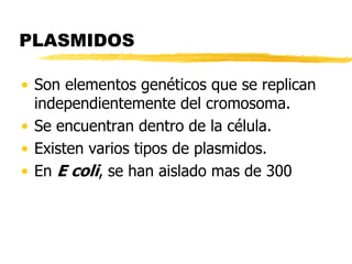 PLASMIDOS
• Son elementos genéticos que se replican
independientemente del cromosoma.
• Se encuentran dentro de la célula.
• Existen varios tipos de plasmidos.
• En E coli, se han aislado mas de 300
 
