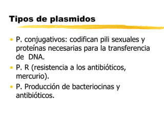 Tipos de plasmidos
• P. conjugativos: codifican pili sexuales y
proteínas necesarias para la transferencia
de DNA.
• P. R (resistencia a los antibióticos,
mercurio).
• P. Producción de bacteriocinas y
antibióticos.
 