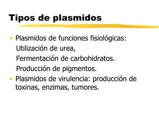 Tipos de plasmidos
• Plasmidos de funciones fisiológicas:
Utilización de urea,
Fermentación de carbohidratos.
Producción de pigmentos.
• Plasmidos de virulencia: producción de
toxinas, enzimas, tumores.
 