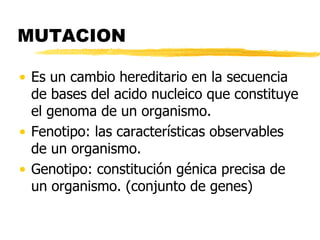 MUTACION
• Es un cambio hereditario en la secuencia
de bases del acido nucleico que constituye
el genoma de un organismo.
• Fenotipo: las características observables
de un organismo.
• Genotipo: constitución génica precisa de
un organismo. (conjunto de genes)
 