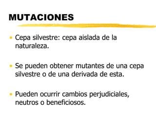 MUTACIONES
• Cepa silvestre: cepa aislada de la
naturaleza.
• Se pueden obtener mutantes de una cepa
silvestre o de una derivada de esta.
• Pueden ocurrir cambios perjudiciales,
neutros o beneficiosos.
 