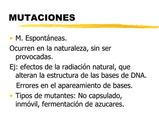 MUTACIONES
• M. Espontáneas.
Ocurren en la naturaleza, sin ser
provocadas.
Ej: efectos de la radiación natural, que
alteran la estructura de las bases de DNA.
Errores en el apareamiento de bases.
• Tipos de mutantes: No capsulado,
inmóvil, fermentación de azucares.
 