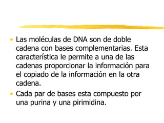 • Las moléculas de DNA son de doble
cadena con bases complementarias. Esta
característica le permite a una de las
cadenas proporcionar la información para
el copiado de la información en la otra
cadena.
• Cada par de bases esta compuesto por
una purina y una pirimidina.
 