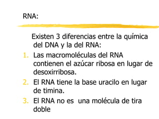 RNA:
Existen 3 diferencias entre la química
del DNA y la del RNA:
1. Las macromoléculas del RNA
contienen el azúcar ribosa en lugar de
desoxirribosa.
2. El RNA tiene la base uracilo en lugar
de timina.
3. El RNA no es una molécula de tira
doble
 