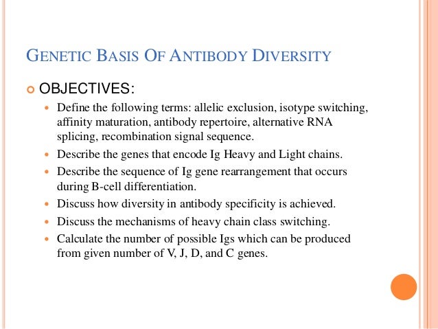 define basis under fontanacountryinn com define basis