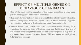 Genetic basis of behaviour | PPTX