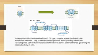 Genetic basis of epilepsy | PPTX