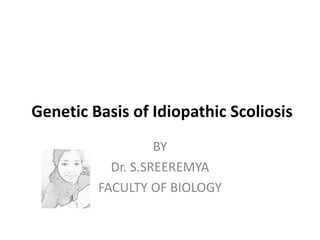 Genetic Basis of Idiopathic Scoliosis
BY
Dr. S.SREEREMYA
FACULTY OF BIOLOGY
 