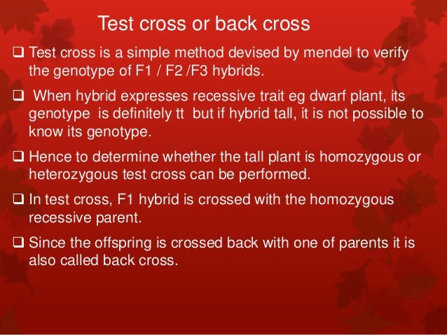 Genetic basis of inheritance