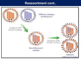 Genetic changes in the viral genome | PPTX