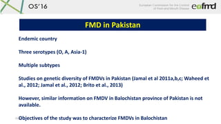 OS16
FMD in Pakistan
Endemic country
Three serotypes (O, A, Asia-1)
Multiple subtypes
Studies on genetic diversity of FMDV...