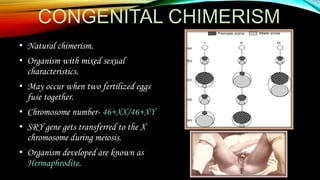 Genetic Chimerism | PPTX