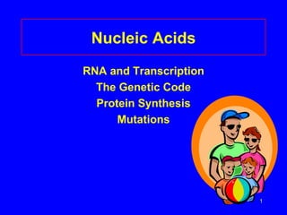 Nucleic Acids
RNA and Transcription
  The Genetic Code
  Protein Synthesis
      Mutations




                        1
 