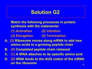 Solution G2
      Match the following processes in protein
      synthesis with the statements:
      (1) Activation      (2) Initiation
      (3) Elongation      (4) Termination
A.   (3) Ribosome moves along mRNA to add new
      amino acids to a growing peptide chain
B.    (4) Completed peptide chain released
C.    (1) A tRNA attaches to its specific amino acid
D.    (2) tRNA binds to the AUG codon of the mRNA
      on the ribosome                               14
 