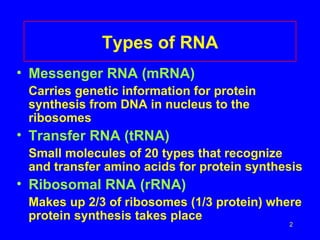 Types of RNA
• Messenger RNA (mRNA)
 Carries genetic information for protein
 synthesis from DNA in nucleus to the
 ribosomes
• Transfer RNA (tRNA)
 Small molecules of 20 types that recognize
 and transfer amino acids for protein synthesis
• Ribosomal RNA (rRNA)
 Makes up 2/3 of ribosomes (1/3 protein) where
 protein synthesis takes place
                                            2
 