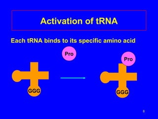 Activation of tRNA

Each tRNA binds to its specific amino acid

                  Pro
                                      Pro




     GGG                           GGG


                                             8
 