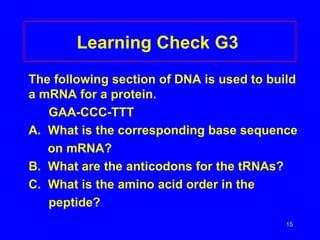 Learning Check G3  The following section of DNA is used to build a mRNA for a protein.  GAA-CCC-TTT A.  What is the corresponding base sequence on mRNA? B.  What are the anticodons for the tRNAs? C.  What is the amino acid order in the peptide? 