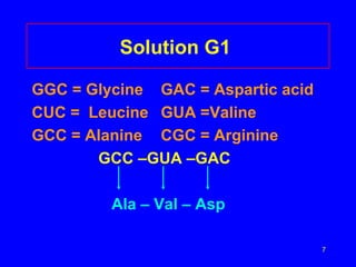 Solution G1  GGC = Glycine GAC = Aspartic acid CUC =  Leucine GUA =Valine GCC = Alanine CGC = Arginine     GCC  –GUA –GAC   Ala – Val – Asp 