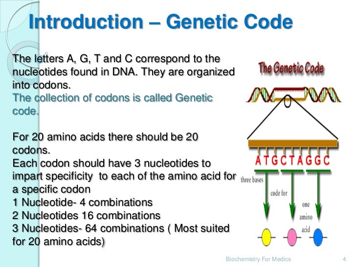 Universal Genetic Code Definition Biology - XYZ de Code