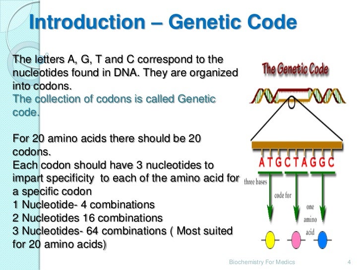 Genetic Code genetic-code